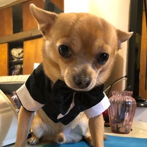 Meet your Posher, Valentina